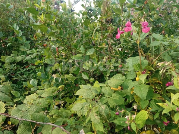 
  Продается дача, 28 м², СНТ Инской узел (Первомайский р-н)
. Фото 7.