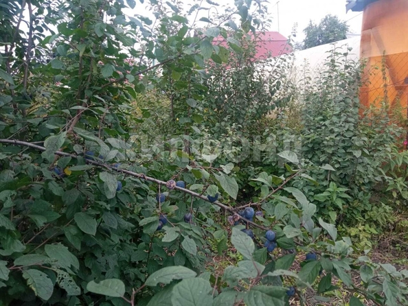 
  Продается дача, 28 м², СНТ Инской узел (Первомайский р-н)
. Фото 8.