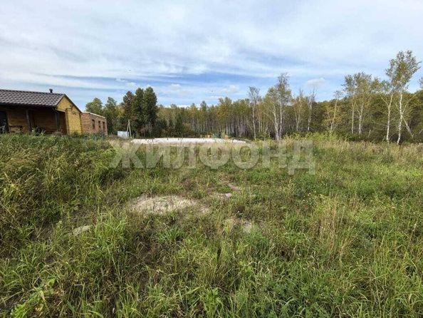 
  Продается земельный участок, 6 соток, село Каменка
. Фото 1.