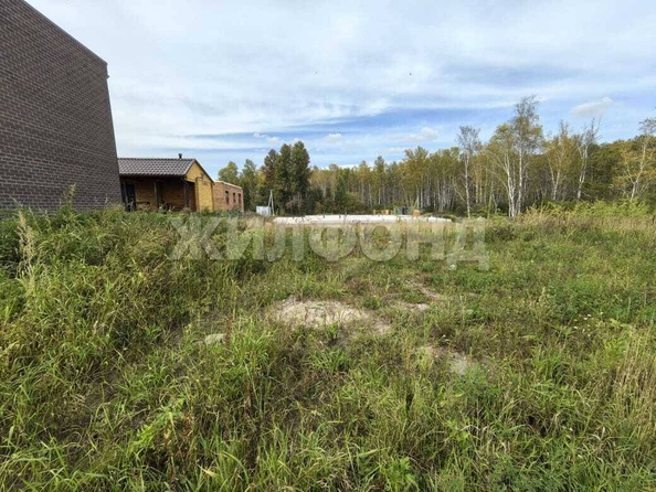 
  Продается земельный участок, 6 соток, село Каменка
. Фото 3.