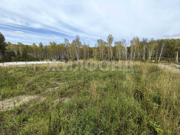 
  Продается земельный участок, 6 соток, село Каменка
. Фото 5.