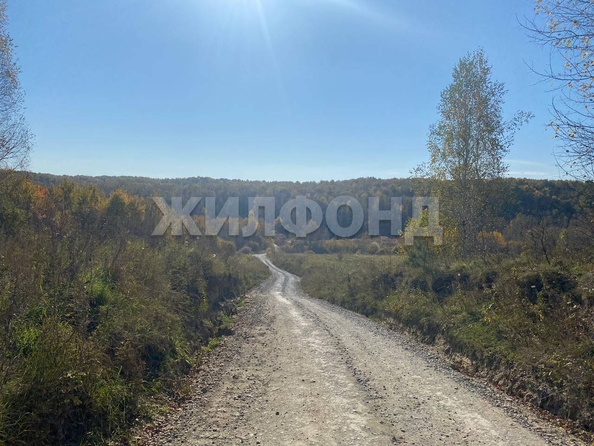 
  Продается дача, 45 м², СНТ Ромашка
. Фото 30.