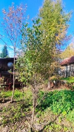 
  Продается земельный участок, 14.4 соток, СНТ Учебный
. Фото 2.