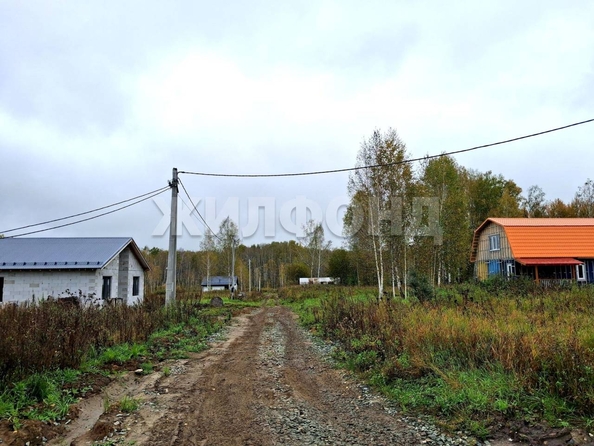 
  Продается земельный участок, 10 соток, СНТ Облепиха (Станционный сельсовет)
. Фото 4.