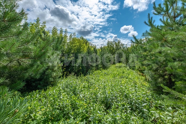 
  Продается дом, 20.1 м², Новосибирск
. Фото 10.