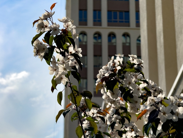 
  Продается 3-комн. квартира, 72.3 м², ЖК Balance (Баланс), 3 очередь
. Фото 13.