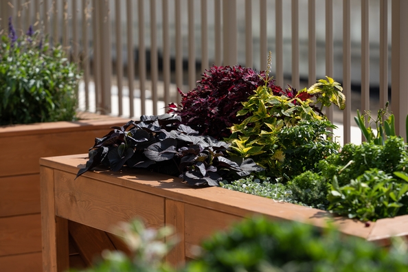 
  Продается 3-комн. квартира, 72.3 м², ЖК Balance (Баланс), 3 очередь
. Фото 14.