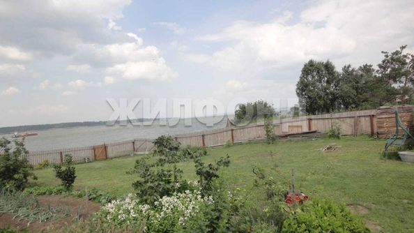 
  Продается земельный участок, 25 соток, село Чингис
. Фото 4.