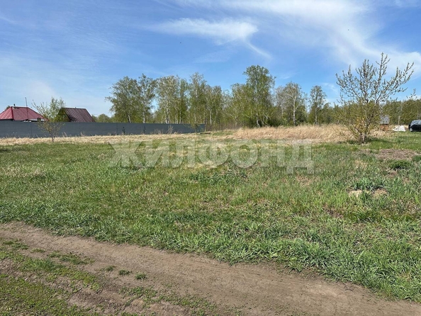 
  Продается земельный участок, 15.6 соток, село Береговое
. Фото 4.