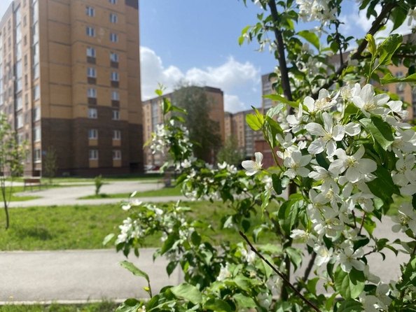 
  Продается 2-комн. квартира, 55.29 м², ЖК Дивногорский, дом 43
. Фото 11.