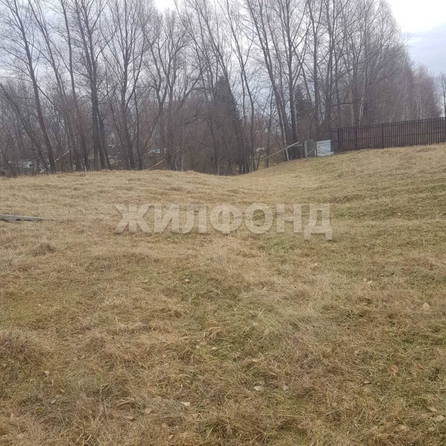 
  Продается земельный участок, 15 соток, деревня Пристань-Почта
. Фото 5.