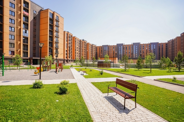 
  Продается 1-комн. квартира 27.3 м², в ЖК Цивилизация, дом 2. Фото 18.