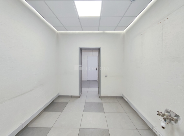 
  Сдается универсальное помещение 316 м². Фото 21.