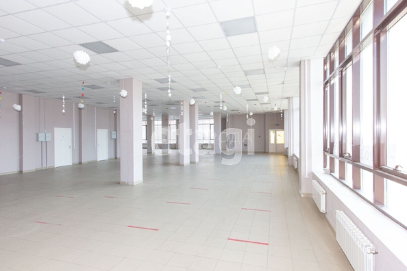 
  Сдается офис 391 м². Фото 3.