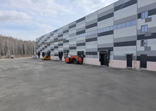 
  Сдается универсальное помещение 5546 м². Фото 14.
