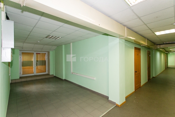 
  Сдается офис 55.5 м². Фото 6.