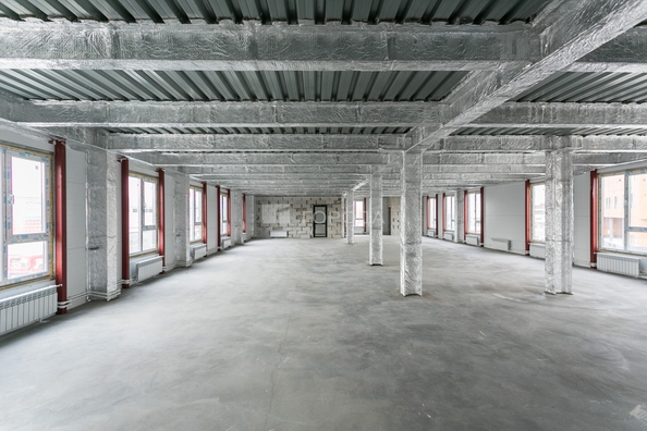 
  Сдается универсальное помещение 1000 м². Фото 14.
