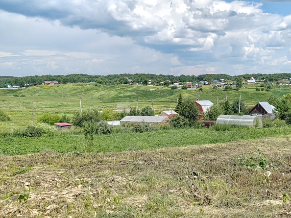 
  Продается земельный участок 8 соток. Фото 3.