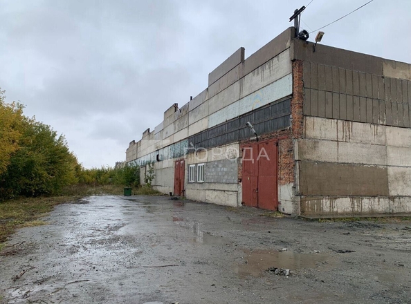 
  Сдается универсальное помещение 454 м². Фото 2.
