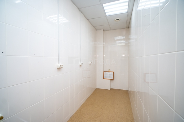 
  Сдается офис 220 м². Фото 26.