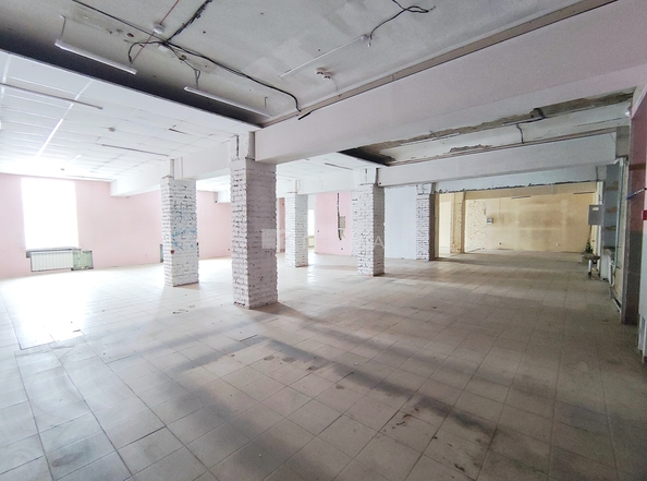 
  Сдается универсальное помещение 234 м². Фото 8.