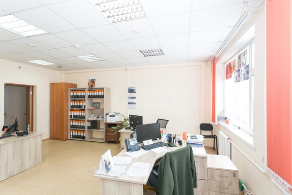 
  Сдается офис 430 м². Фото 6.