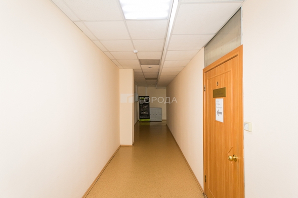 
  Сдается офис 430 м². Фото 24.