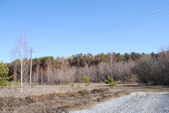 
  Продается земельный участок 6 соток. Фото 7.