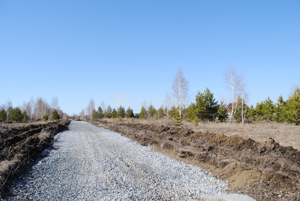 
  Продается земельный участок 6 соток. Фото 11.
