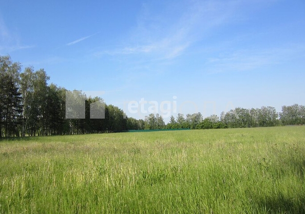 
  Продается земельный участок 7 соток. Фото 2.