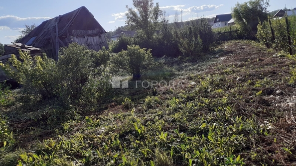 
  Продается земельный участок 16 соток. Фото 23.