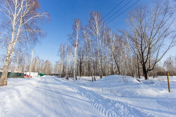 
  Продается земельный участок 10 соток. Фото 11.