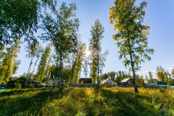 
  Продается земельный участок 8 соток. Фото 8.