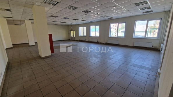 
  Сдается торговая площадь 443.3 м². Фото 11.