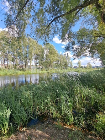 
  Продается дом 60 м², в КП Благое. Фото 13.