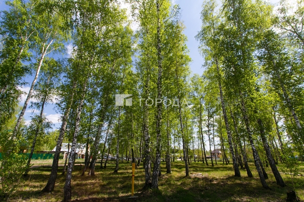 
  Продается земельный участок 8 соток. Фото 16.