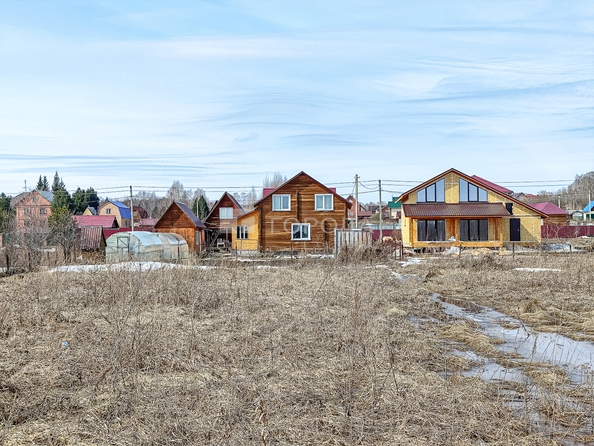 
  Продается земельный участок 10 соток. Фото 8.