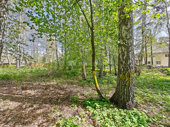 
  Продается земельный участок 8.86 соток. Фото 12.