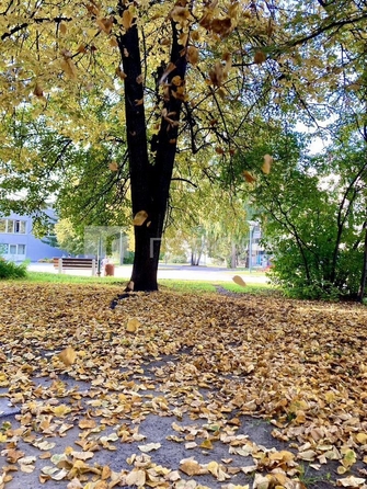 
  Продается 3-комн. квартира 62 м². Фото 9.