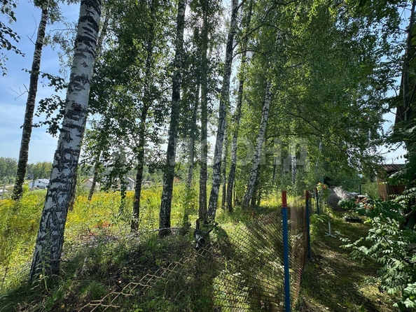 
  Продается дача 48 м². Фото 12.