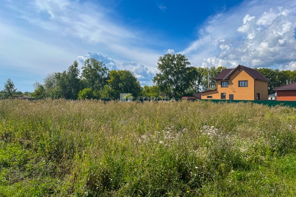 
  Продается земельный участок 10 соток, в КП Олимп. Фото 13.