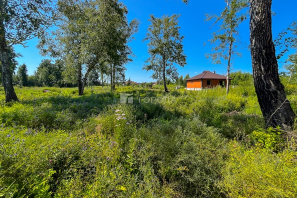 
  Продается земельный участок 5.8 соток, в КП Благодатный. Фото 3.
