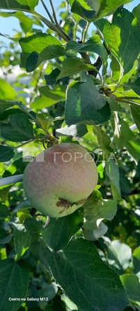 
  Продается коттедж 43 м². Фото 29.
