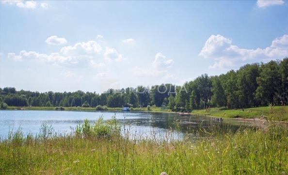 
  Продается земельный участок 7.71 соток, в КП Тандем. Фото 5.