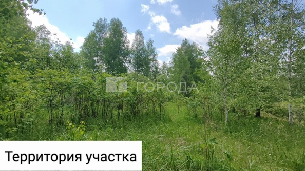 
  Продается земельный участок 8.5 соток. Фото 3.