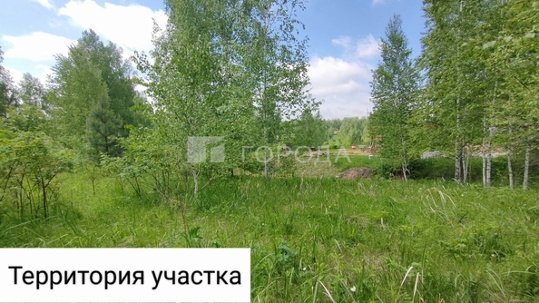 
  Продается земельный участок 8.5 соток. Фото 4.