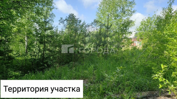 
  Продается земельный участок 8.5 соток. Фото 6.