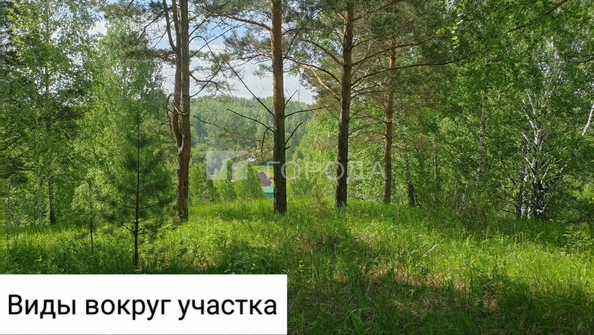 
  Продается земельный участок 8.5 соток. Фото 8.