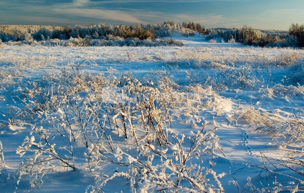 
  Продается земельный участок 10530.6 соток. Фото 1.