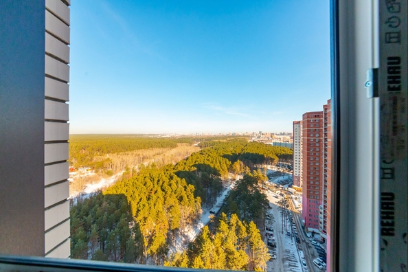 
  Продается 1-комн. квартира 48.9 м², в ЖК Бирюзовая жемчужина-4. Фото 15.